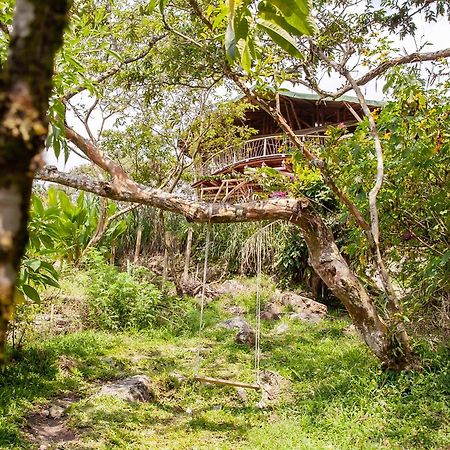 Ecofinca Fuente Alegre Cocorna Ngoại thất bức ảnh