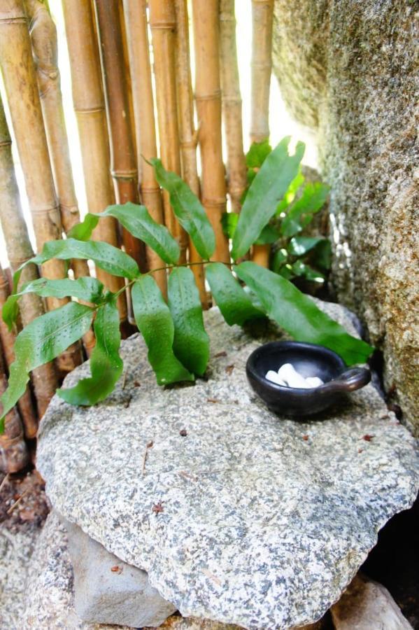 Ecofinca Fuente Alegre Cocorna Ngoại thất bức ảnh