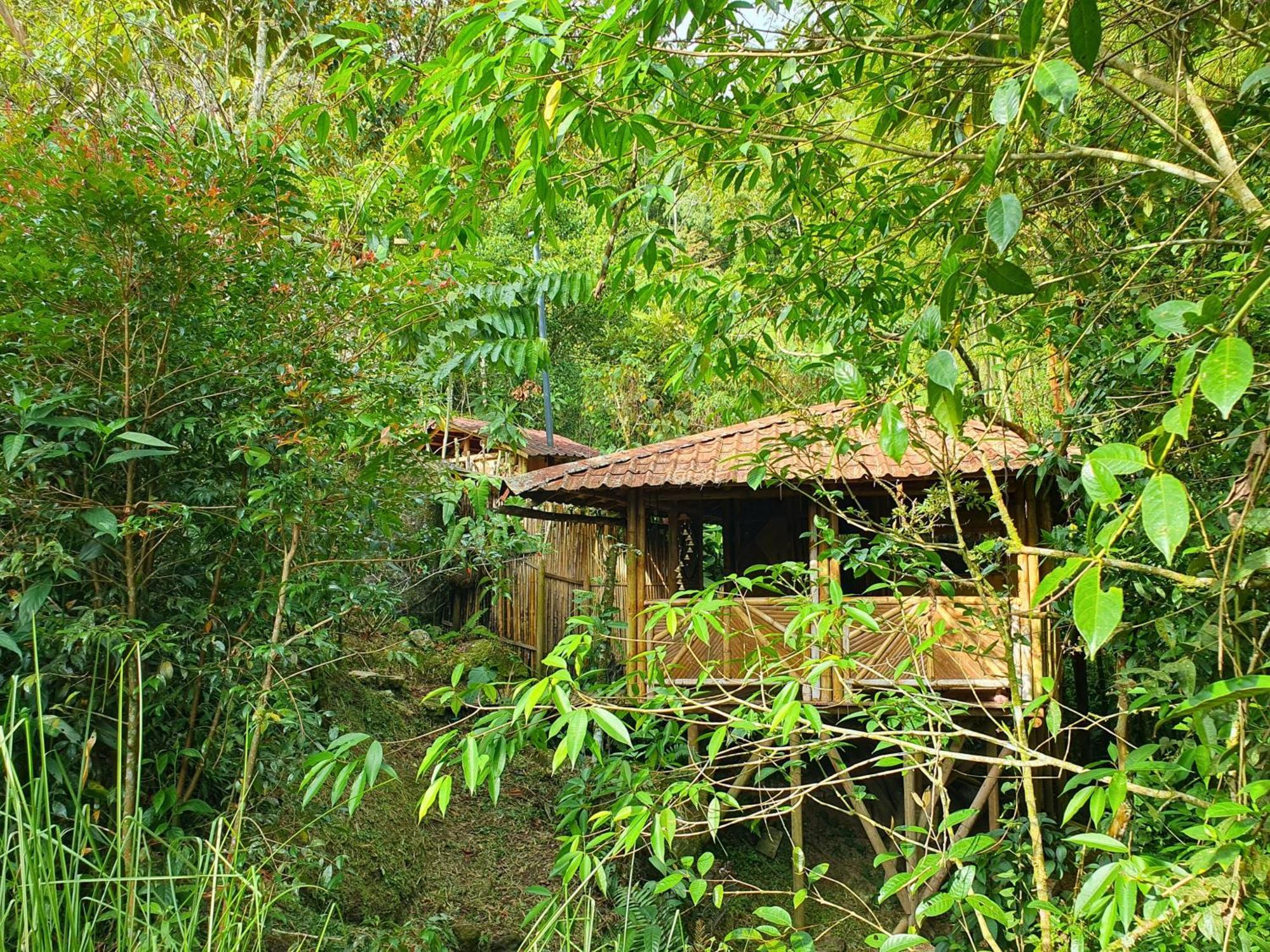 Ecofinca Fuente Alegre Cocorna Phòng bức ảnh