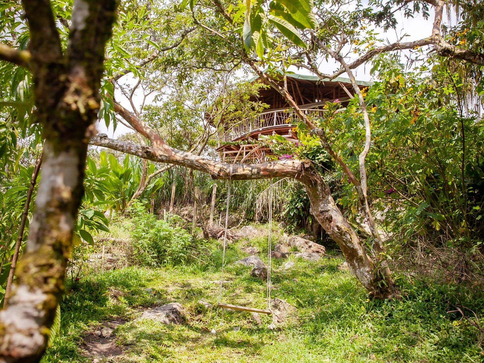 Ecofinca Fuente Alegre Cocorna Ngoại thất bức ảnh