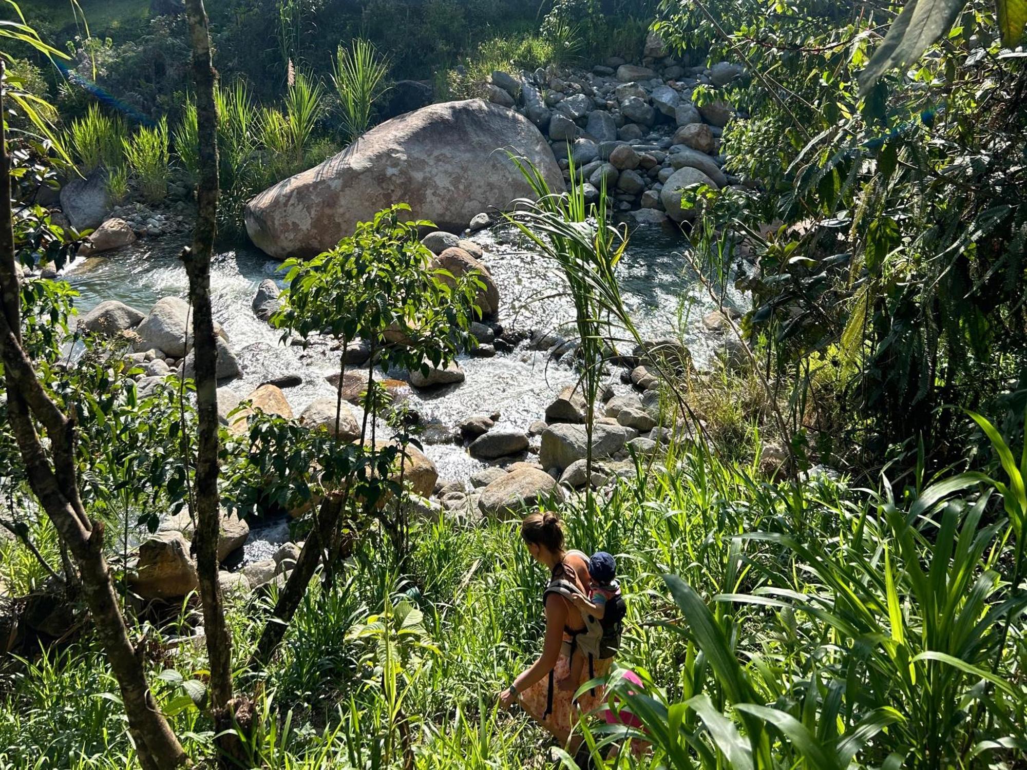 Ecofinca Fuente Alegre Cocorna Ngoại thất bức ảnh